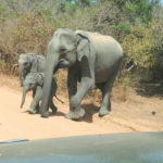 SRILANKA_04